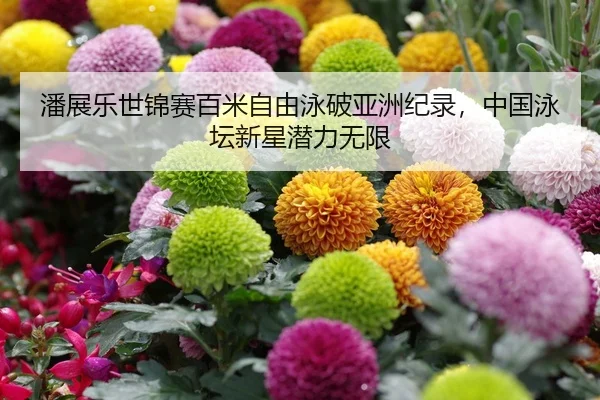 潘展乐世锦赛百米自由泳破亚洲纪录，中国泳坛新星潜力无限