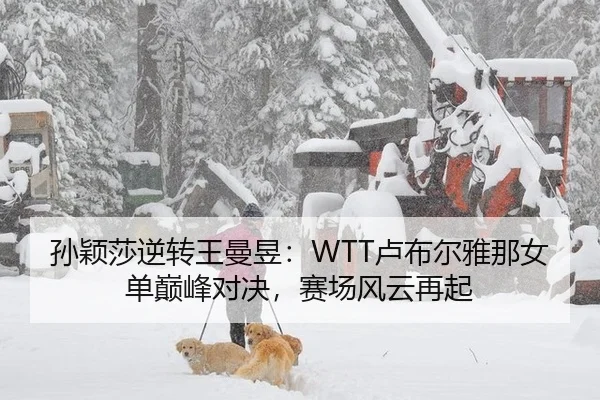 孙颖莎逆转王曼昱：WTT卢布尔雅那女单巅峰对决，赛场风云再起